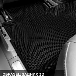 Левый пассажир