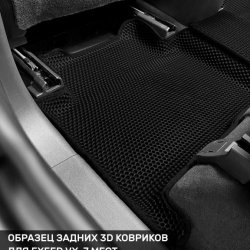 Левый пассажир