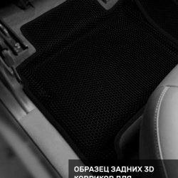 Левый пассажир