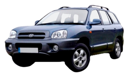 3D коврики EVA с бортами в салон  на Hyundai Santa Fe I (2000-2006)