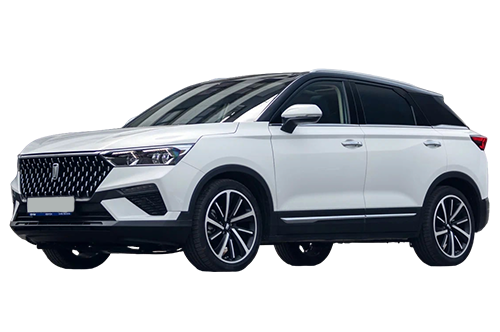 2D коврики EVA в салон и багажник  на FAW Bestune T77 (2018-н.в.)