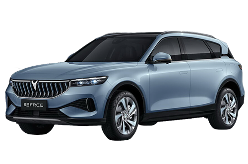 2D коврики EVA в салон и багажник  на Voyah Free (2021-н.в) 