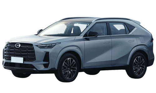 2D коврики EVA в салон и багажник  на GAC GS4 (2024-н.в.)